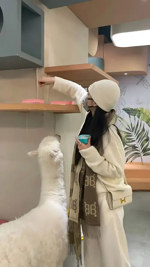 一级欧美日韩_在线.www资源_免费国产污网站在线观看不要卡